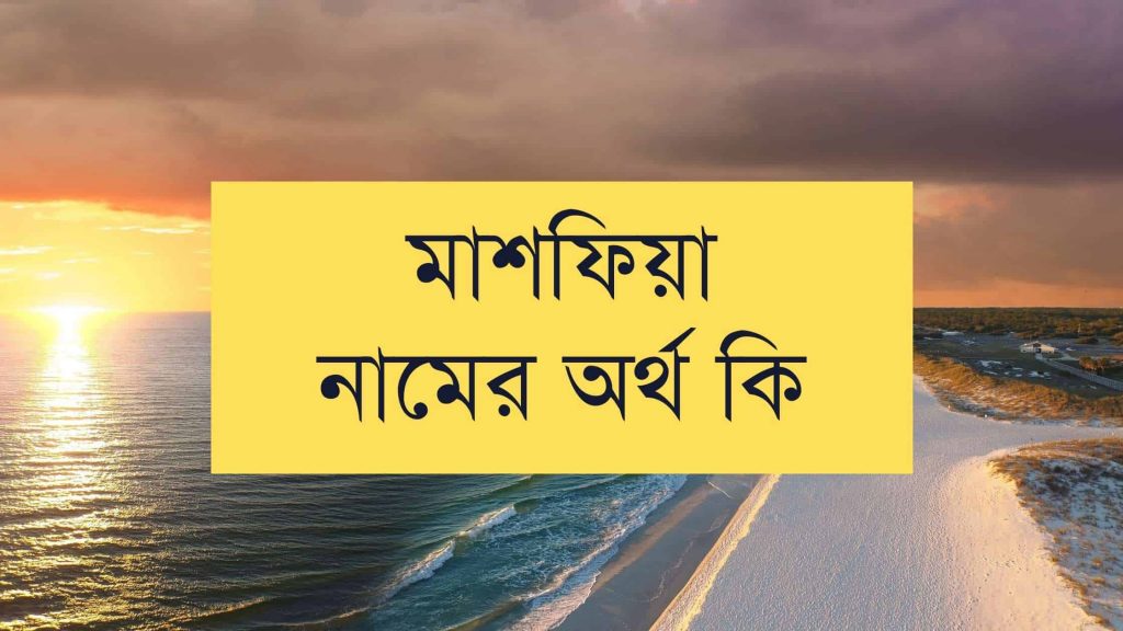 মাশফিয়া নামের অর্থ কি (যে কারনে সবচেয়ে গ্রহনযোগ্য এটি) - বাংলা নামের অর্থ