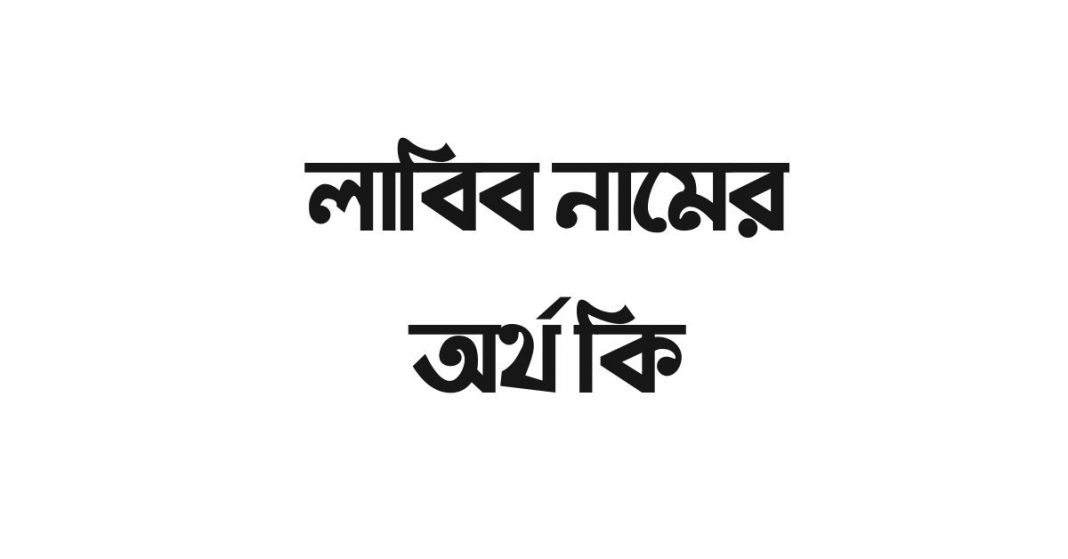 লাবিব নামের অর্থ কি