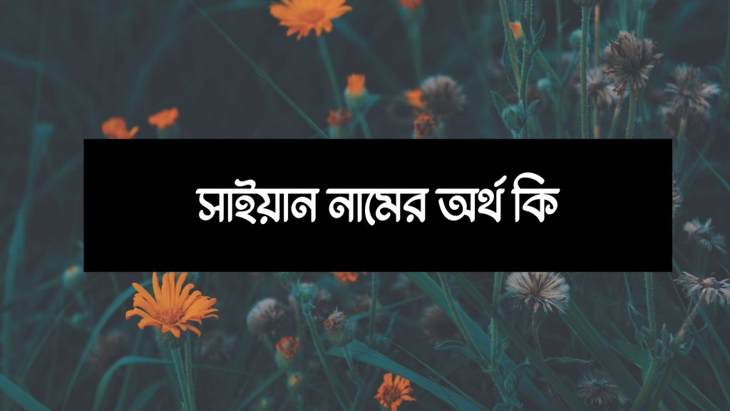 সাইয়ান নামের অর্থ কি (পুরো নামের সাজেশন সহ) - বাংলা নামের অর্থ