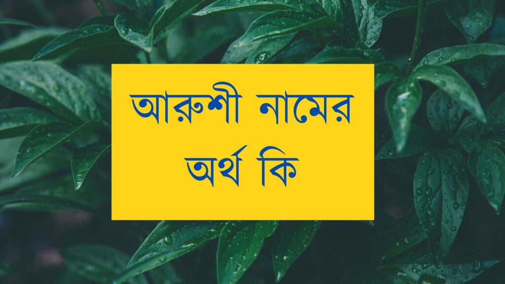 আরুশী নামের অর্থ কি, ভাষাভেদে নামটির অর্থ আলাদা - বাংলা নামের অর্থ