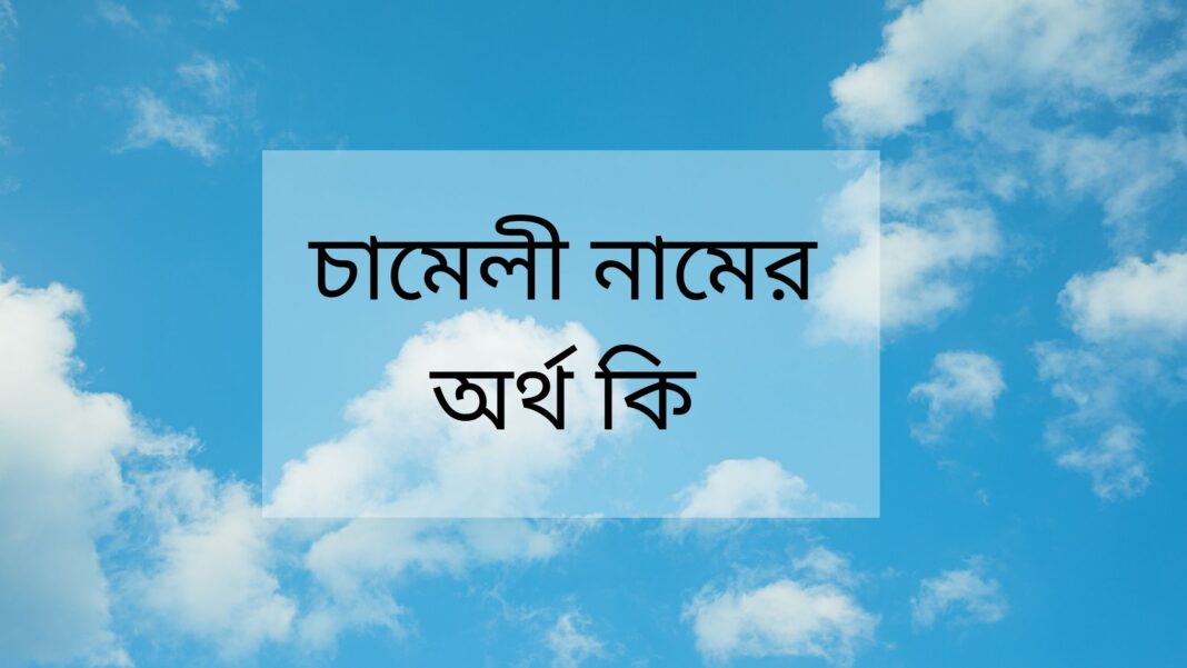 চামেলী নামের অর্থ কি