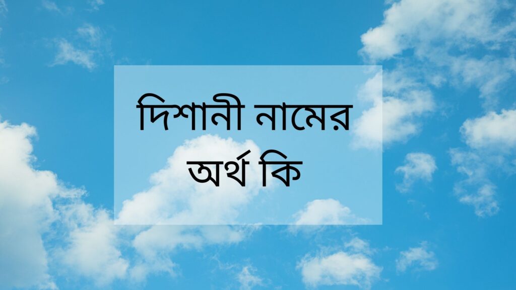 দিশানী নামের অর্থ কি