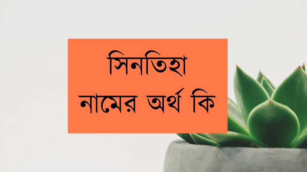 সিনতিহা নামের অর্থ কি