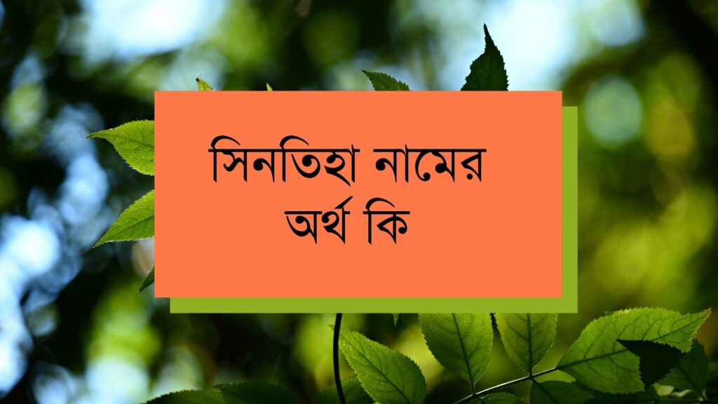 সিনতিহা নামের অর্থ কি