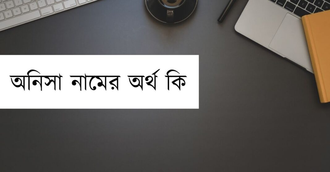 অনিসা নামের অর্থ কি