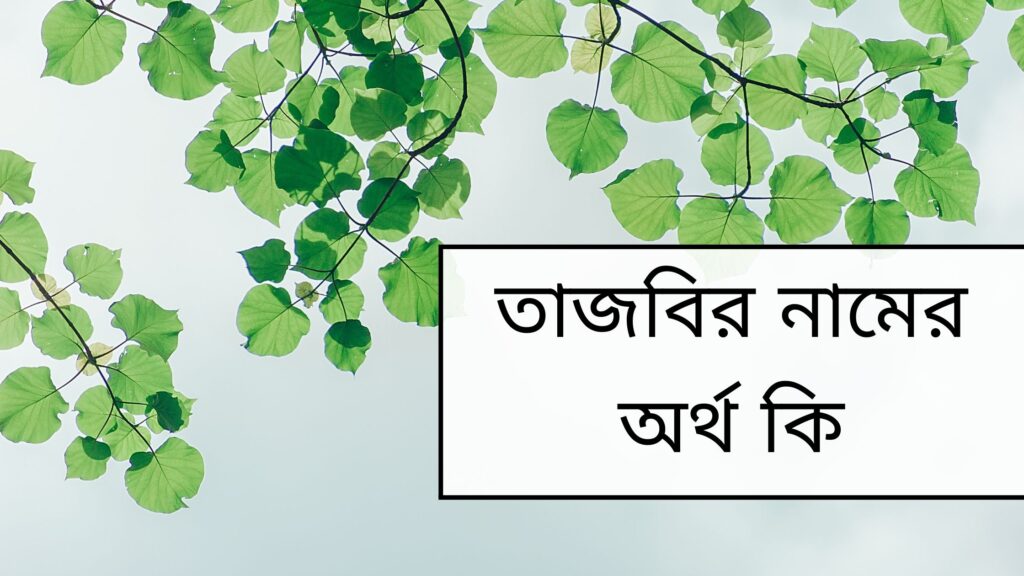 তাজবির নামের অর্থ কি