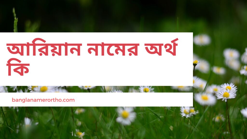 আরিয়ান নামের অর্থ কি