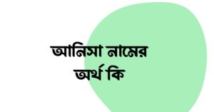 আনিসা নামের অর্থ কি ()