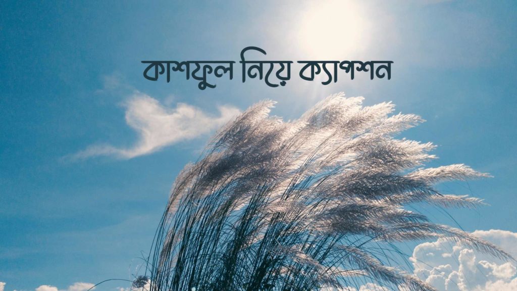 কাশফুল নিয়ে ক্যাপশন ছোট প্রেমের কবিতা