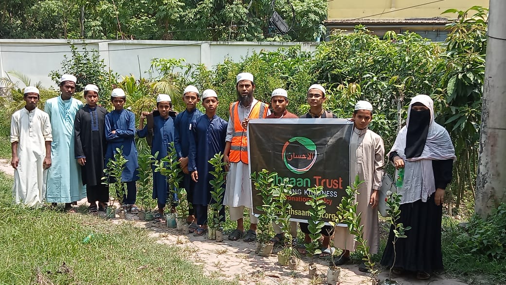 Tree Plantation