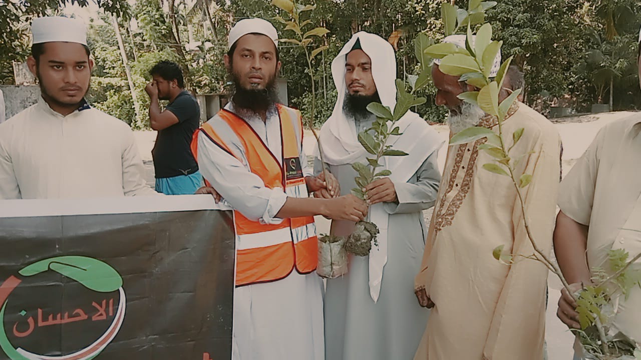 Tree Plantation program